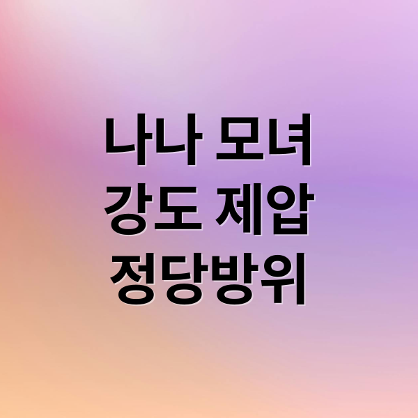 나나 모녀
강도 제압
정당방위 (나나 강도 제압 정당방위)