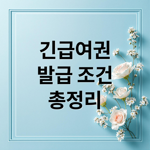 긴급여권
발급 조건
총정리 (긴급여권 발급)