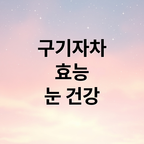 구기자차 눈 건강 효능 대표 이미지