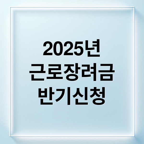 2025년
근로장려금
반기신청 (2025 근로장려금 반기 지급일)