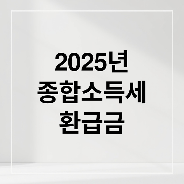2025년
종합소득세
환급금 (종합소득세 환급일)