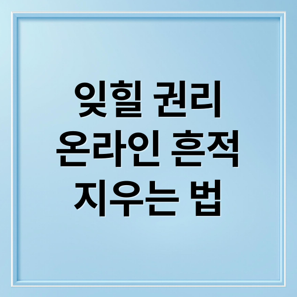 잊힐 권리
온라인 흔적
지우는 법 (잊힐 권리 보장 범위)