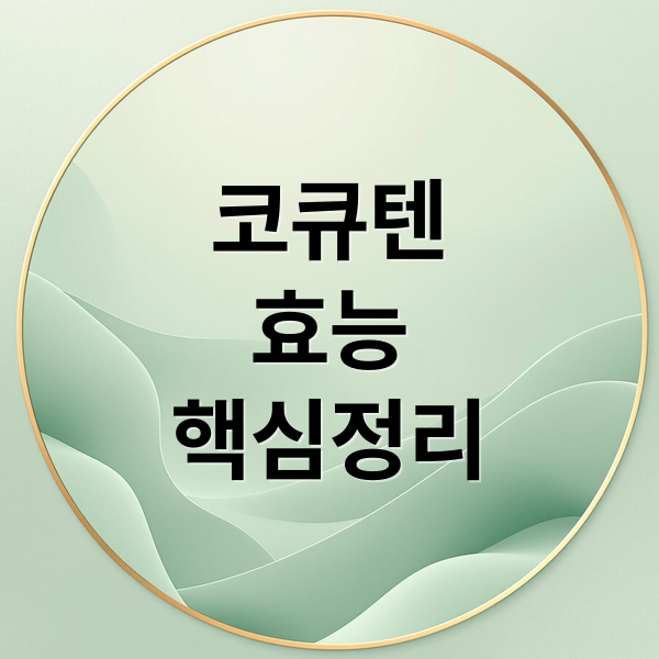 코큐텐
효능
핵심정리 (코큐텐)