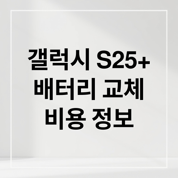 갤럭시 S25+
배터리 교체
비용 정보 (갤럭시 S25 플러스 배터리 교체 비용)