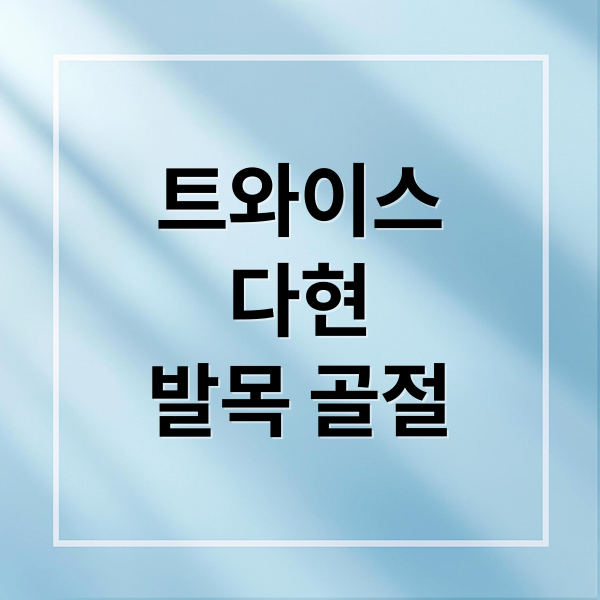 트와이스
다현
발목 골절 (트와이스 다현, 발목 골절로 활동 중단)