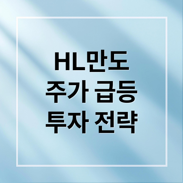 HL만도
주가 급등
투자 전략 (HL만도 주가 전망)