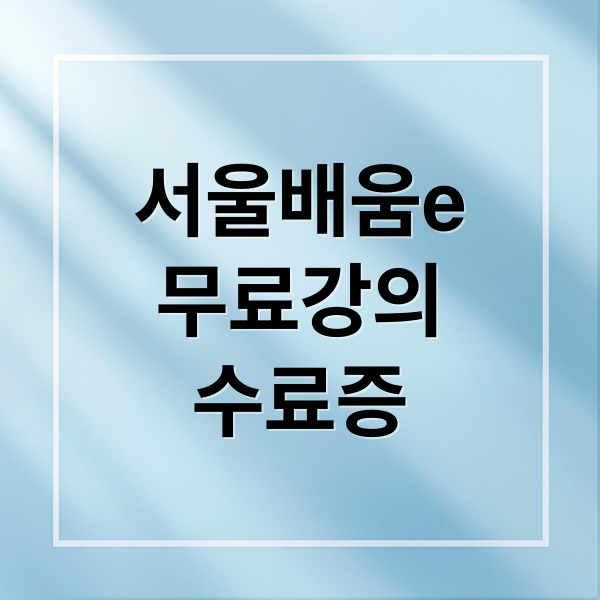 서울배움e
무료강의
수료증 (서울시 평생학습포털)