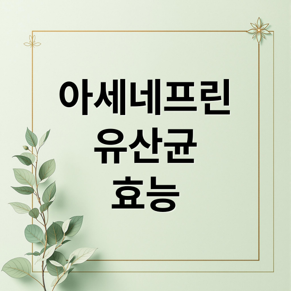 아세네프린
유산균
효능 (아세네프린 유산균 복용 후기)