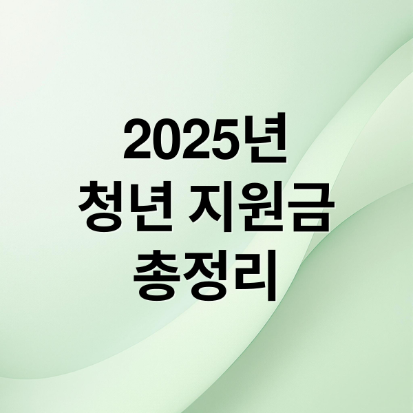 2025년
청년 지원금
총정리 (청년 정부 지원금 총정리 최신판 한눈 가이드)