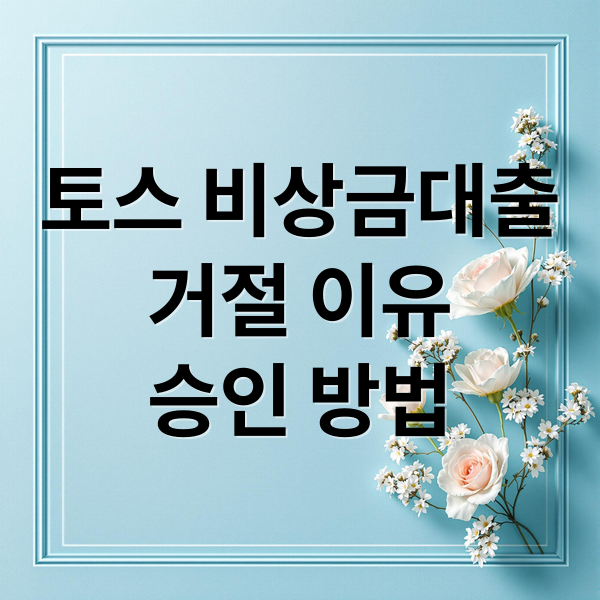 토스 비상금대출
거절 이유
승인 방법 (토스 비상금대출 거절 해결)
