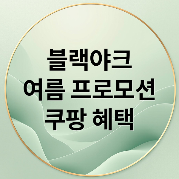 블랙야크
여름 프로모션
쿠팡 혜택 (쿠팡 블랙야크 여름 프로모션)