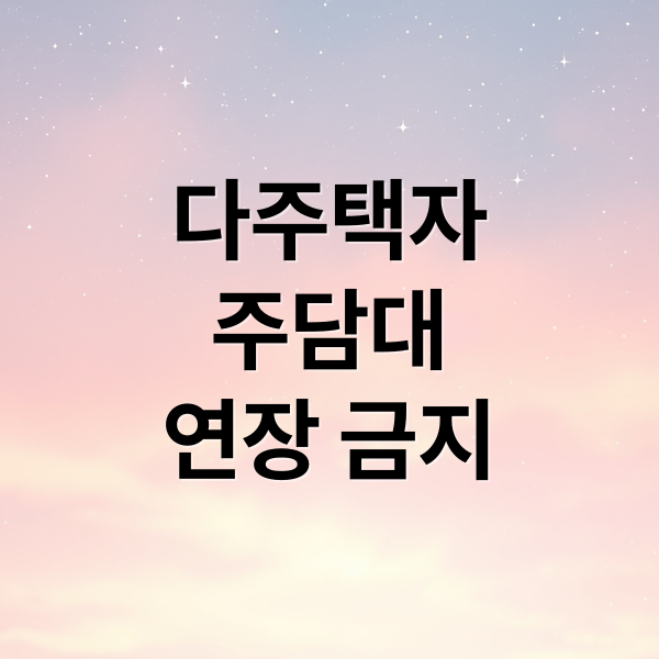 다주택자
주담대
연장 금지 (다주택자 수도권 주담대 연장 금지)