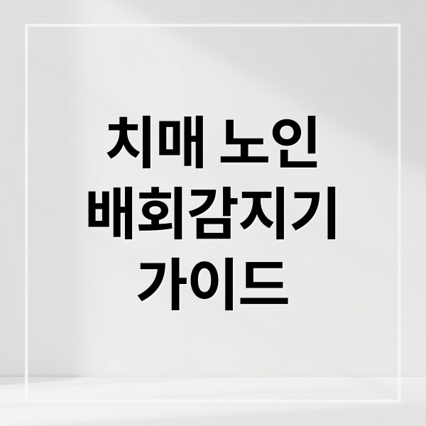 치매 노인
배회감지기
가이드 (치매노인 배회감지기)