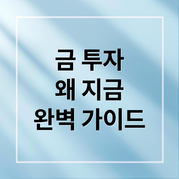 금 투자
왜 지금
완벽 가이드 (금 ETF 금통장)