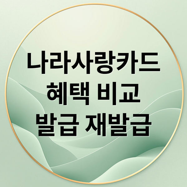 나라사랑카드
혜택 비교
발급 재발급 (국민나라사랑카드)