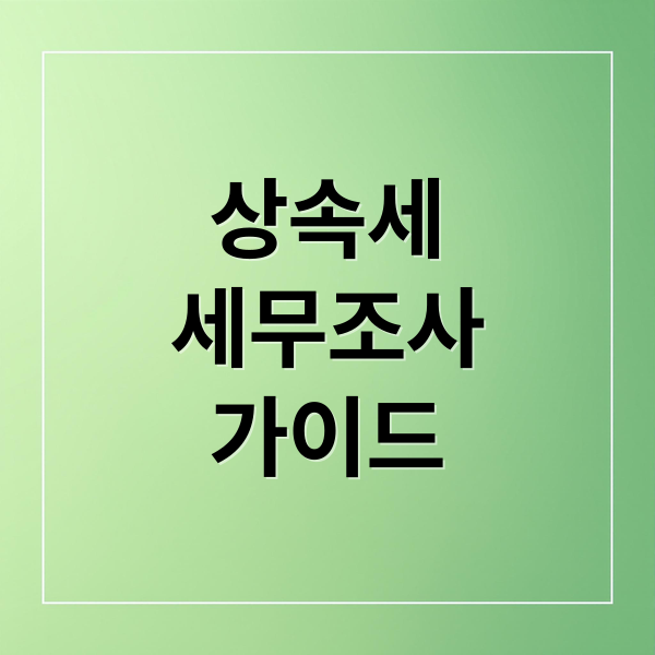 상속세
세무조사
가이드 (상속세 세무조사 절차 대상)