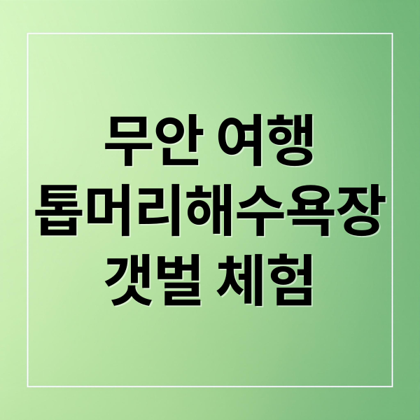무안 여행
톱머리해수욕장
갯벌 체험 (무안 톱머리해수욕장 회산백련지 맨발길)