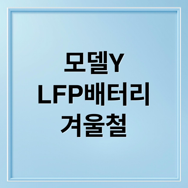모델Y
LFP배터리
겨울철 (테슬라 모델Y RWD LFP 배터리 겨울철 주행거리)