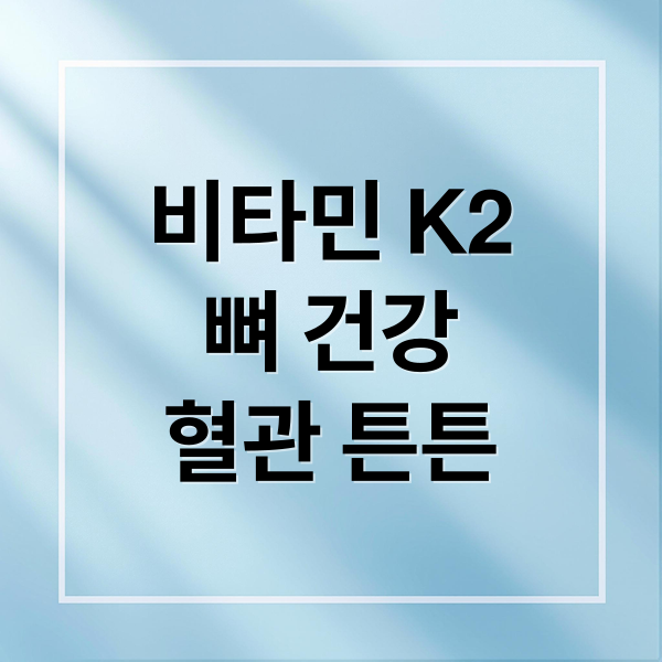 비타민 K2
뼈 건강
혈관 튼튼 (비타민 K2 효능)