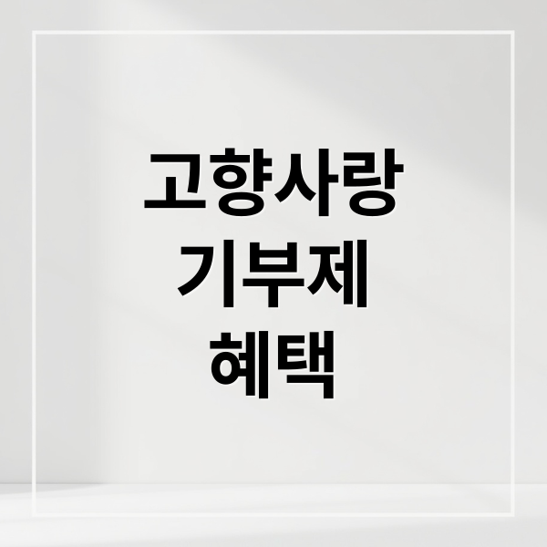 고향사랑
기부제
혜택 (고향사랑 기부제 세액공제 답례품)