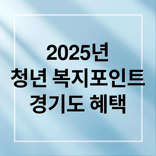 2025년
청년 복지포인트
경기도 혜택 (청년 복지포인트 선발기준 사용처 지급액)