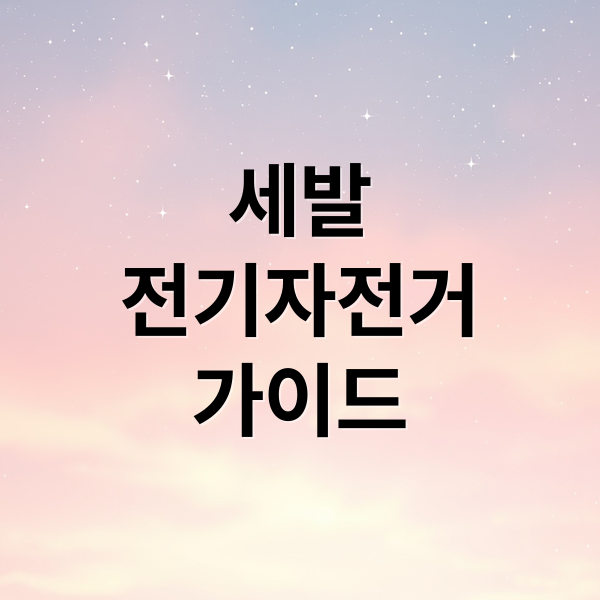 세발
전기자전거
가이드 (세발 전기자전거)