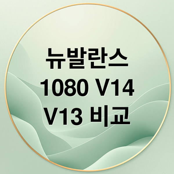 뉴발란스
1080 V14
V13 비교 (뉴발란스 1080 V14 V13 차이)