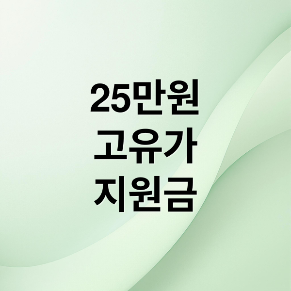 25만원
고유가
지원금 (고유가 지원금 25만원)