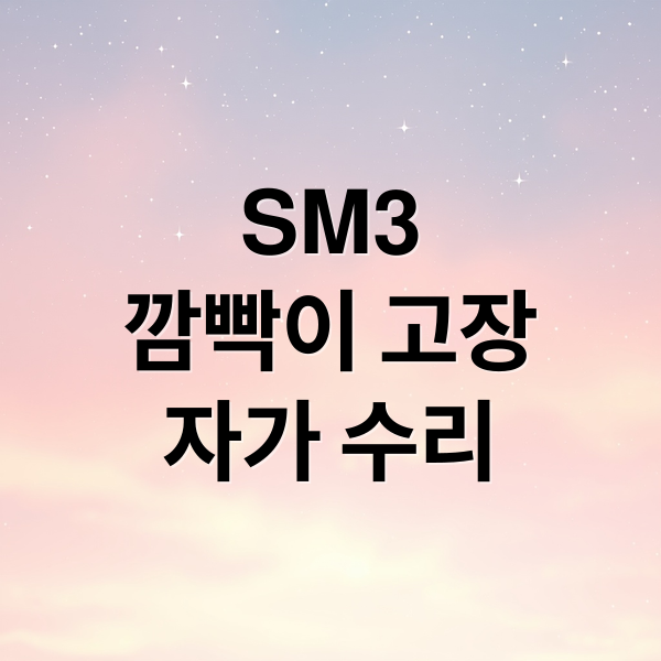 SM3
깜빡이 고장
자가 수리 (SM3 깜빡이 수리)