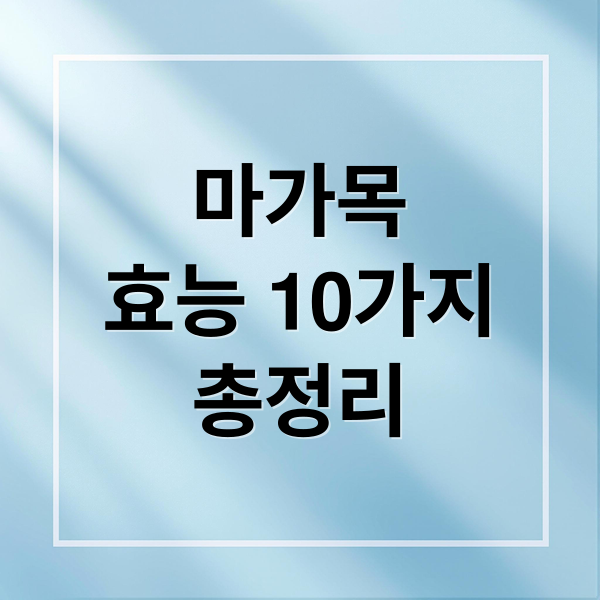 마가목
효능 10가지
총정리 (마가목 효능 10가지)