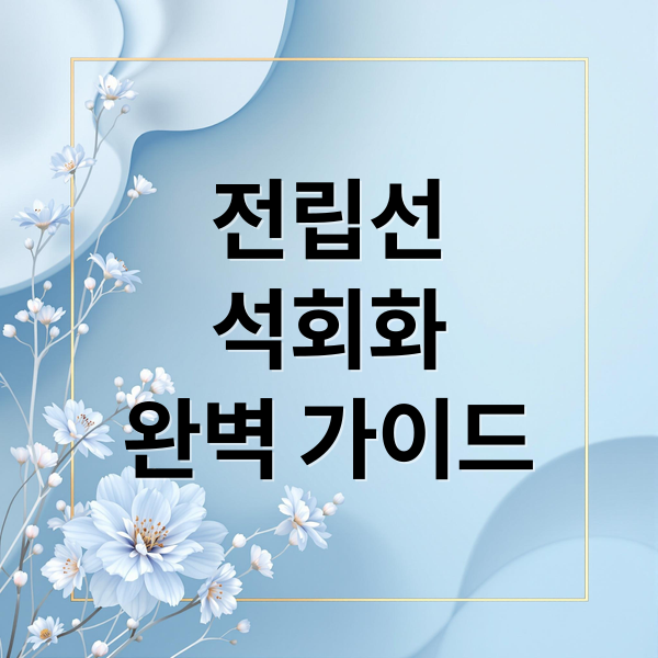 전립선
석회화
완벽 가이드 (전립선 석회화 치료법)