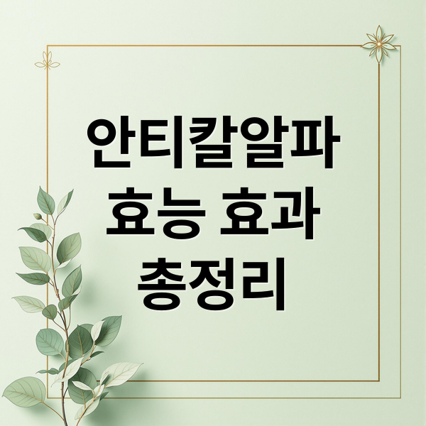 안티칼알파
효능 효과
총정리 (안티칼 알파 후기 효능 체중 소화 에너지)