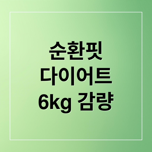 순환핏 다이어트 6kg 감량