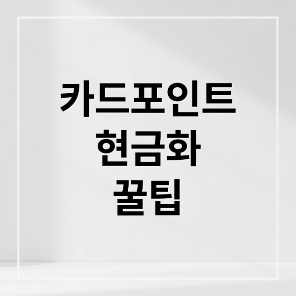 카드포인트
현금화
꿀팁 (카드포인트 통합조회 현금화)