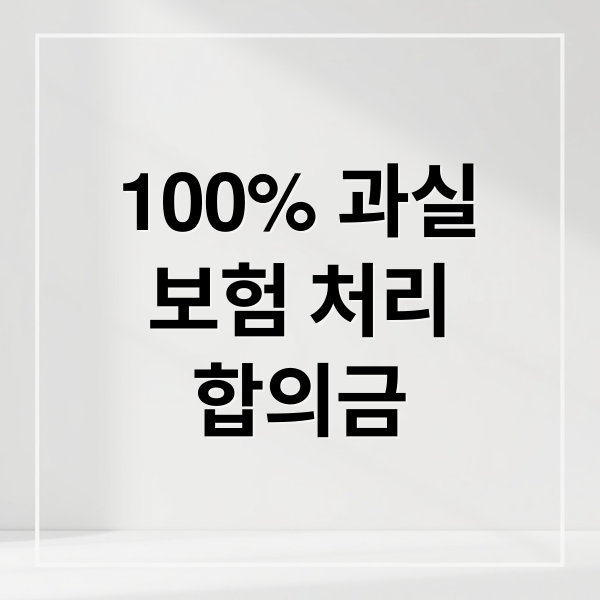 100% 과실
보험 처리
합의금 (교통사고 과실비율 100%)