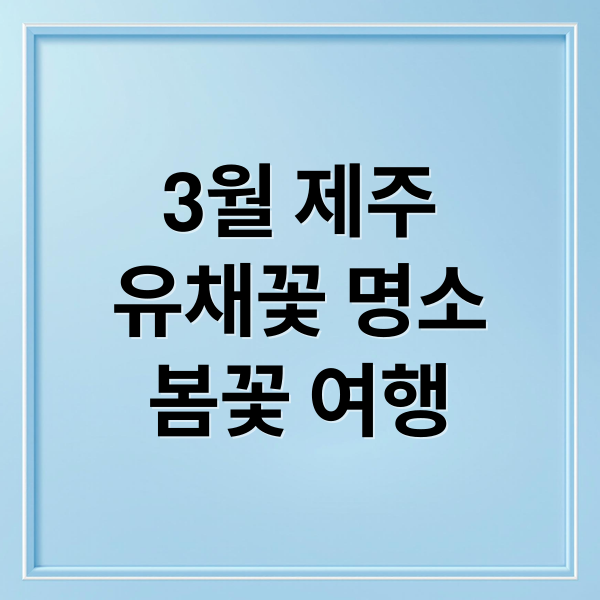 3월 제주
유채꽃 명소
봄꽃 여행 (3월 제주도 추천 여행지)