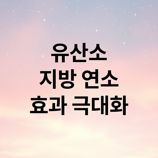유산소와 무산소 운동 조합