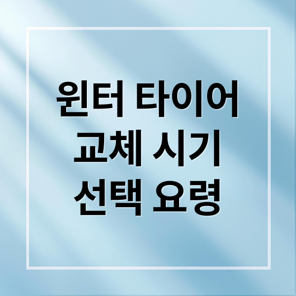 윈터 타이어
교체 시기
선택 요령 (윈터 타이어 교체시기 가격)