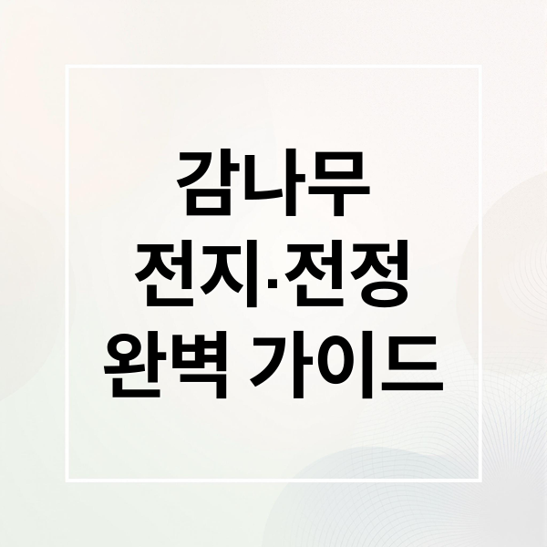 감나무
전지·전정
완벽 가이드 (감나무 전지방법과시기)