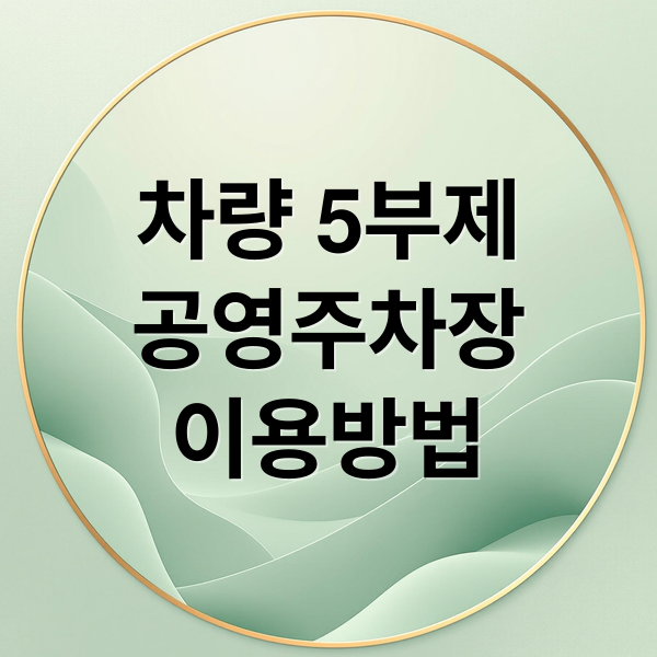 차량 5부제
공영주차장
이용방법 (차량5부제 공영주차장)