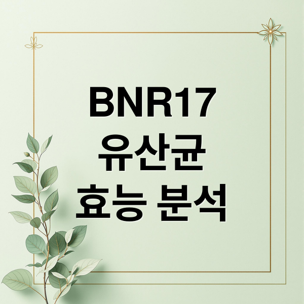 BNR17
유산균
효능 분석 (bnr17 유산균 가격비교)
