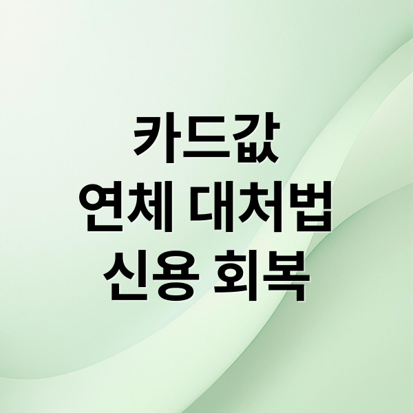 카드값
연체 대처법
신용 회복 (카드값 연체 해결)