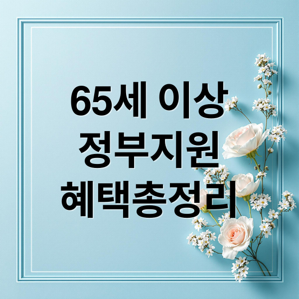 65세 이상
정부지원
혜택총정리 (65세 이상 노인 지원 제도)