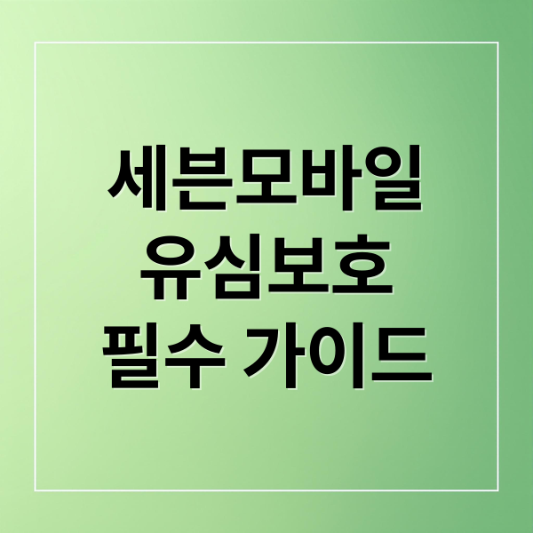 세븐모바일
유심보호
필수 가이드 (SK 세븐모바일 유심 보호 서비스 신청)