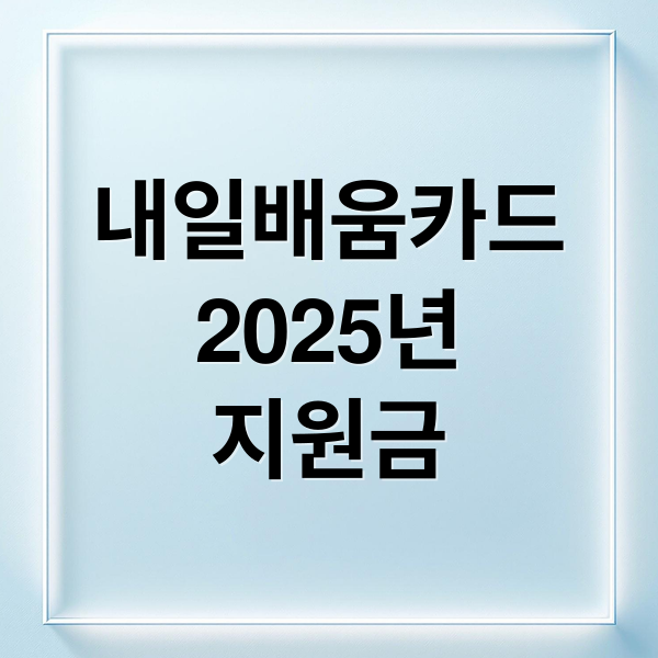 내일배움카드
2025년
지원금 (내일배움카드)