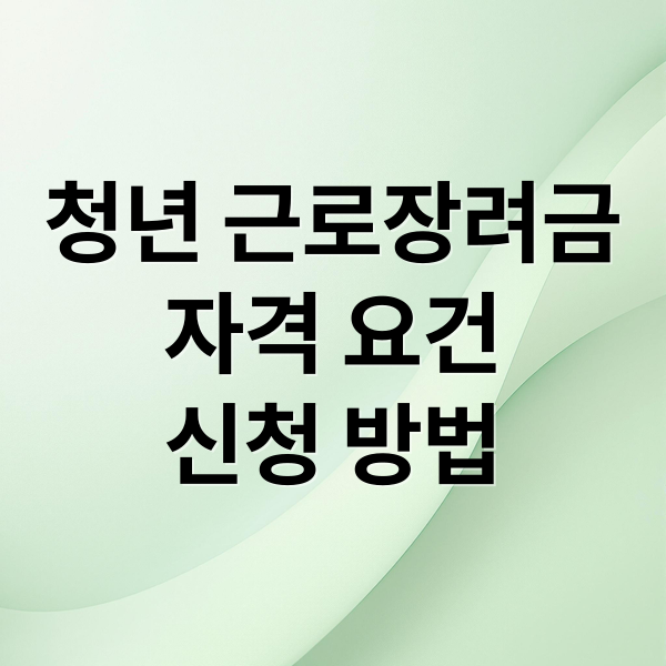 청년 근로장려금
자격 요건
신청 방법 (청년 근로장려금 신청 성공 가이드 한눈 정리)