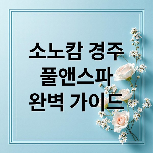 소노캄 경주
풀앤스파
완벽 가이드 (소노캄 경주 웰니스 풀앤스파)