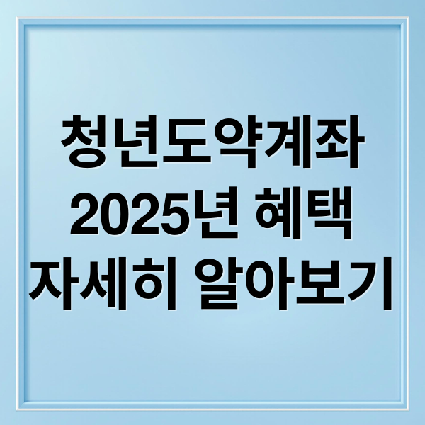 청년도약계좌
2025년 혜택
자세히 알아보기 (2025년 8월 청년도약계좌 신청)