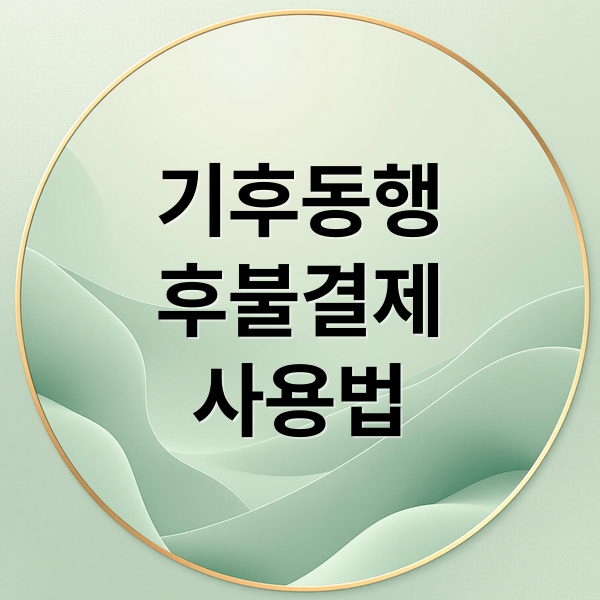 기후동행
후불결제
사용법 (기후동행카드 후불)