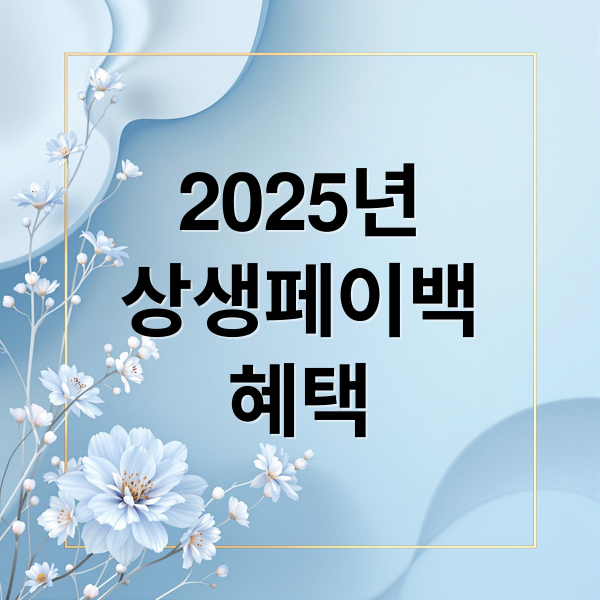 2025년
상생페이백
혜택 (상생페이백 완벽정리! 신청부터 환급까지 한눈에 보는 가이드)